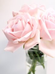 fina blommor