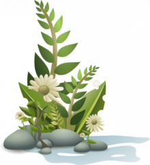 buske med vita blommor